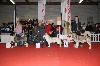  - Beziers International Dog Show 22/01/2012